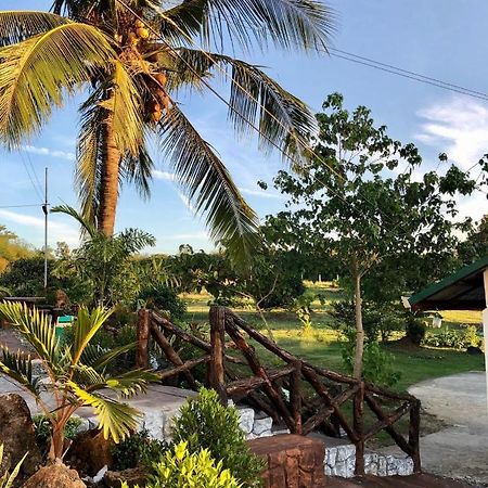 Michaels Homestay - Farm Villa Nr Patar Beach & Bolinao Falls Exteriör bild
