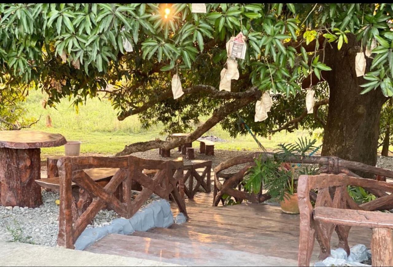 Michaels Homestay - Farm Villa Nr Patar Beach & Bolinao Falls Exteriör bild
